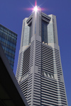IMG10992.jpg