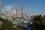 IMG11008.jpg