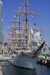 IMG11030.jpg