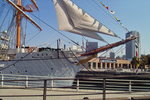 IMG11049_noizeless.jpg