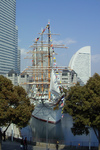 IMG11086bg.jpg